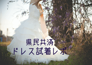 県民共済ブライダルで結婚式ドレスを借りるときのコツ 三日ログ ミカログ